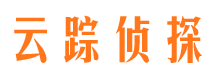 双城市私家侦探